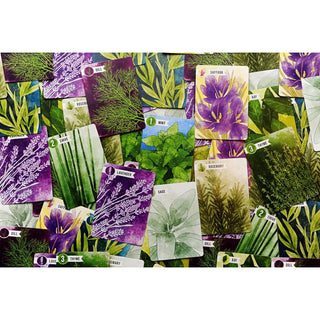Herbaceous